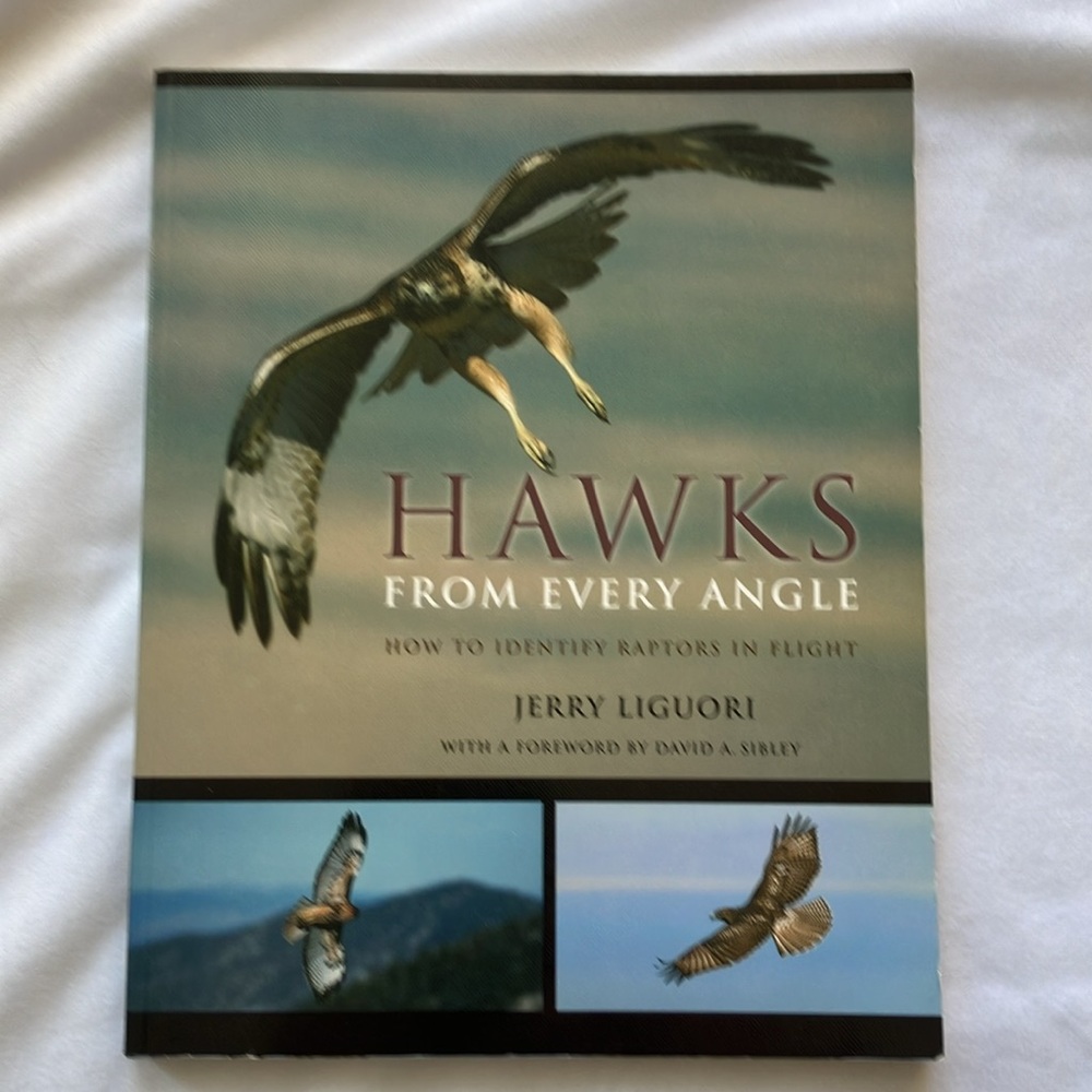 Birding Hawk Raptor Books - Picture 3 of 12